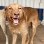 362699422_300634472340363_1748630974307728836_n