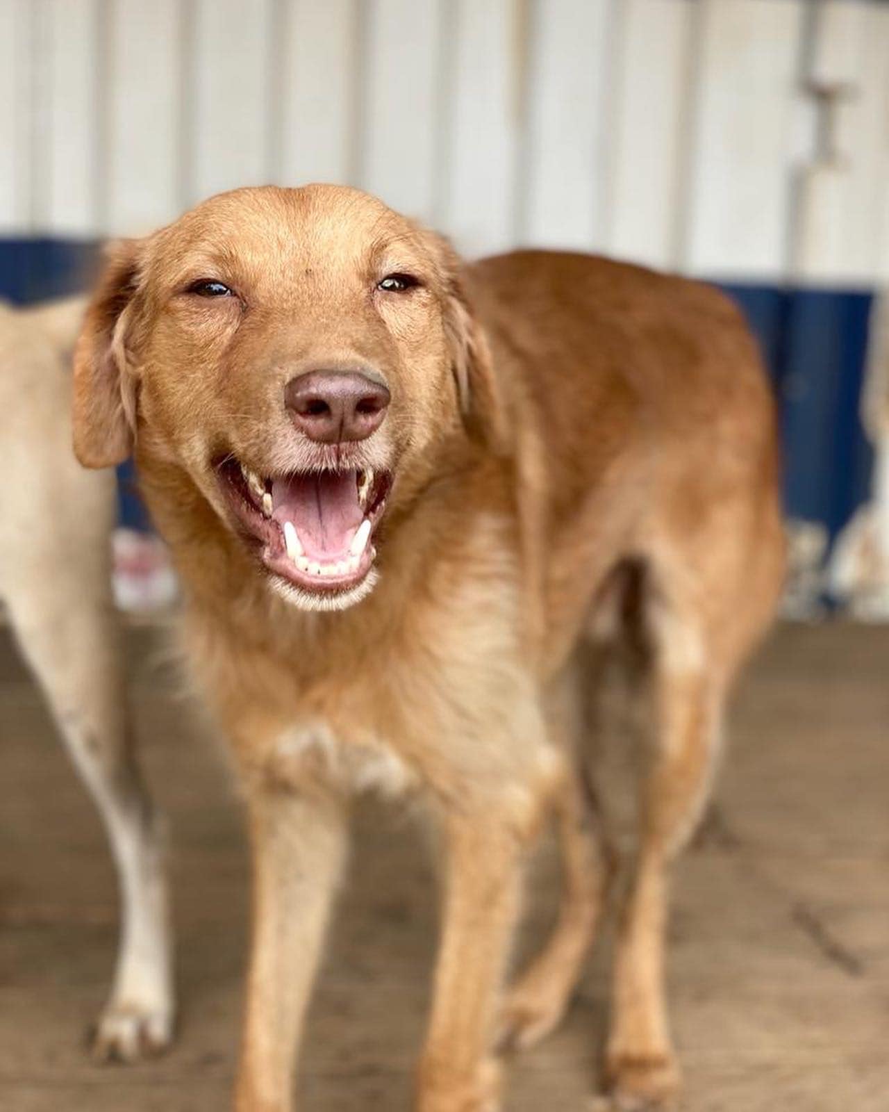 362699422_300634472340363_1748630974307728836_n