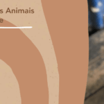 Captura de tela 2025-07-24 113315