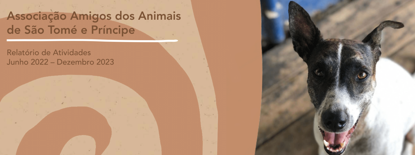 Captura de tela 2025-07-24 113315