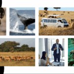 Screenshot 2025-06-02 at 11.04.27 PM-min