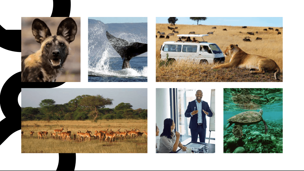 Screenshot 2025-06-02 at 11.04.27 PM-min