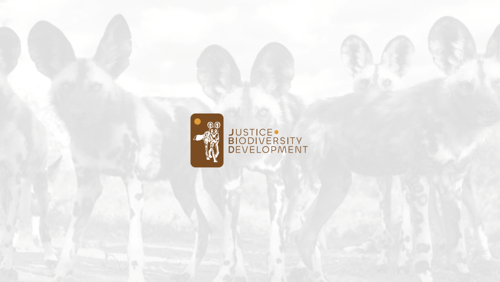 Screenshot 2025-06-02 at 11.04.44 PM-min