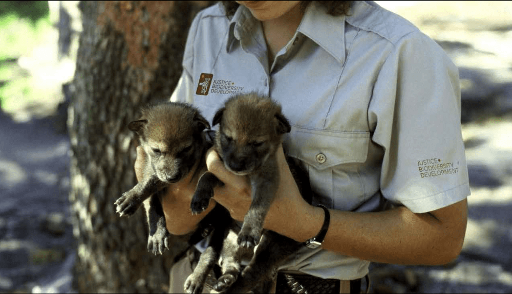 Screenshot 2025-06-02 at 11.05.23 PM-min